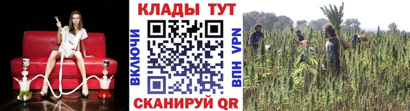 Наркотические вещества Ртищево Cocaine  Галлюциногенные грибы  МАРИХУАНА  Меф  Альфа ПВП 