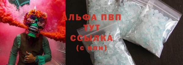 сатива Иннополис