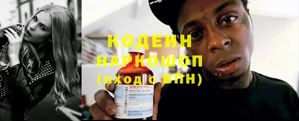 хмурый Алексин