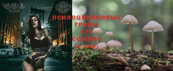 первитин Алзамай