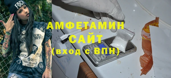 гидра Инсар