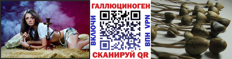 Галлюциногенные грибы мицелий  это Telegram  Ртищево 